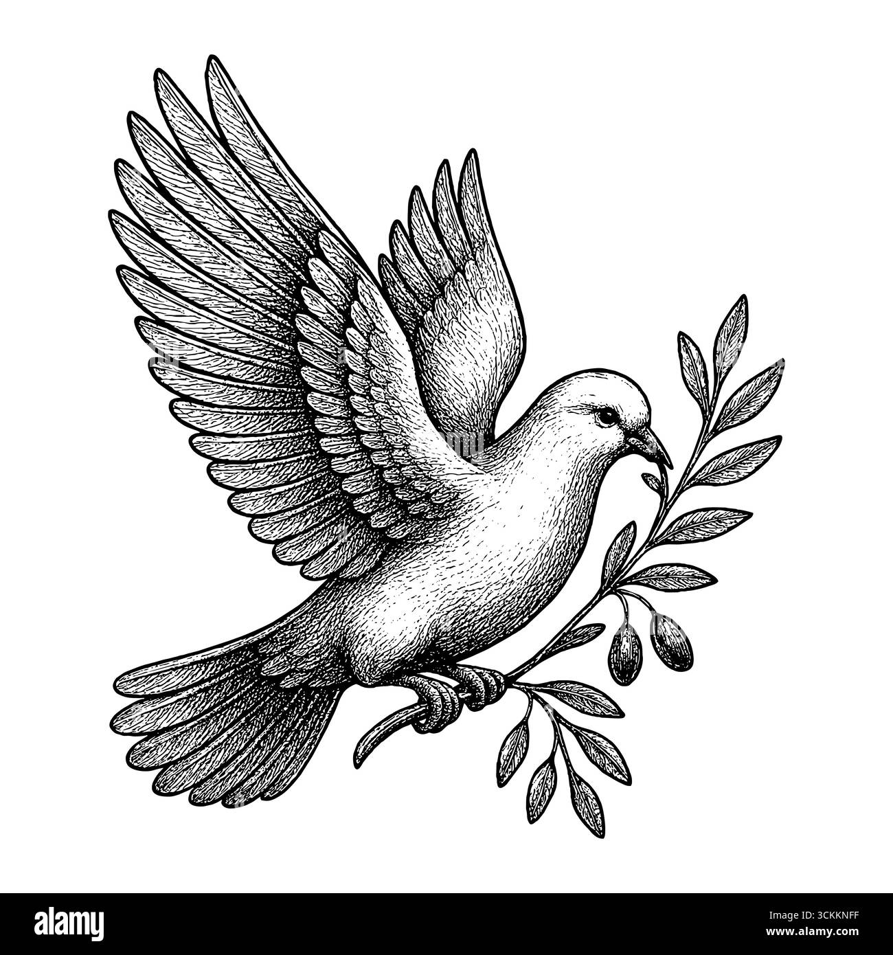 Eine Taube, die einen Olivenzweig trägt, symbolisiert Frieden, Reinheit und die gute Nachricht der Hoffnung Stock Vektor