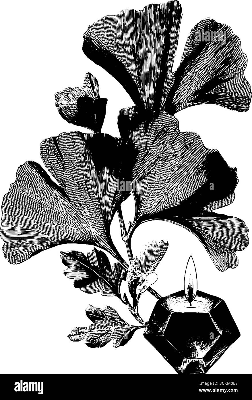 Vintage-Ginkgoblatt- und Kerzendesign für Druck, Karte, Poster. Stock Vektor