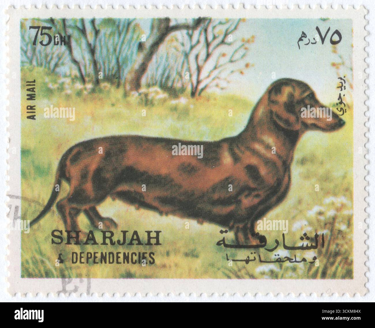SCHARDSCHAH – 5. Juli 1972: 75 Dirham mehrfarbige Briefmarke mit Dachshund (Canis Lupus familiaris). Wiener Hund, oder Wursthund, Badger Hund, Doxen und Doxie, ist ein kurzbeiniger, langgestreckte, hundeähnliche Hunderasse. Der Hund kann glatthaarig, drahthaarig oder langhaarig sein, mit unterschiedlicher Färbung. Der Dackel wurde gezüchtet, um Dachse und andere Höhlenbewohner zu duften, zu jagen und auszuspülen. Der Miniatur-Dackel wurde zur Jagd auf kleine Tiere wie Kaninchen gezüchtet. Der Dackel wurde 2022 auf Platz 9 der Registrierungen beim American Kennel Club Stockfoto