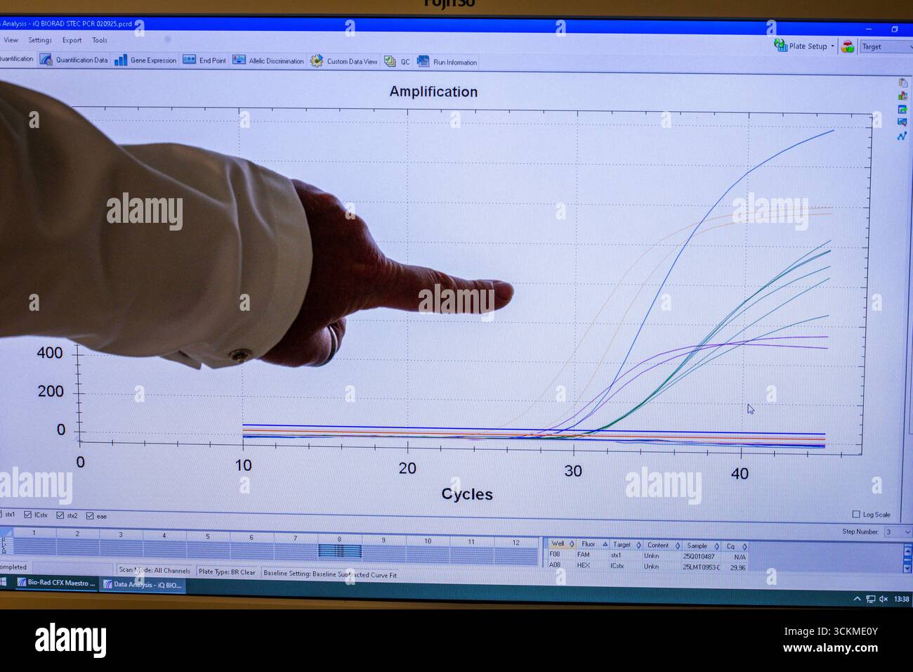 Rostock, Deutschland. September 2025. Die Bewertungskurven sind auf einem Monitor im PCR-Labor des Landesamts für Landwirtschaft, Lebensmittelsicherheit und Fischerei zu sehen. Ein PCR-Labor verwendet Polymerase-Kettenreaktion (PCR), um spezifische DNA- oder RNA-Schnitte in Proben zu verstärken und zu detektieren. So können Erreger von Infektionskrankheiten wie Viren und Bakterien zuverlässig nachgewiesen werden. Quelle: Jens Büttner/dpa/Alamy Live News Stockfoto