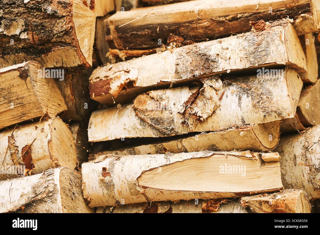 Haufen Birkenfeuerholz, gestapelt. Natürliches Holzmaterial zum Heizen. Rustikale ländliche Ressourcen. Nahaufnahme des Hintergrunds aus Schnittholz. Stockfoto