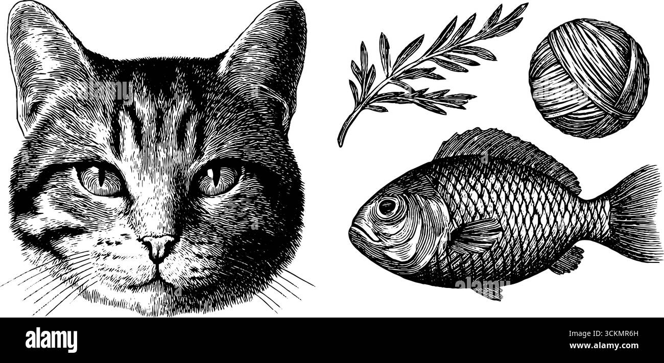 Künstlerisch graviertes Katzengesicht mit Garnkugel, Fisch und Ast Illustrationsset. Stock Vektor