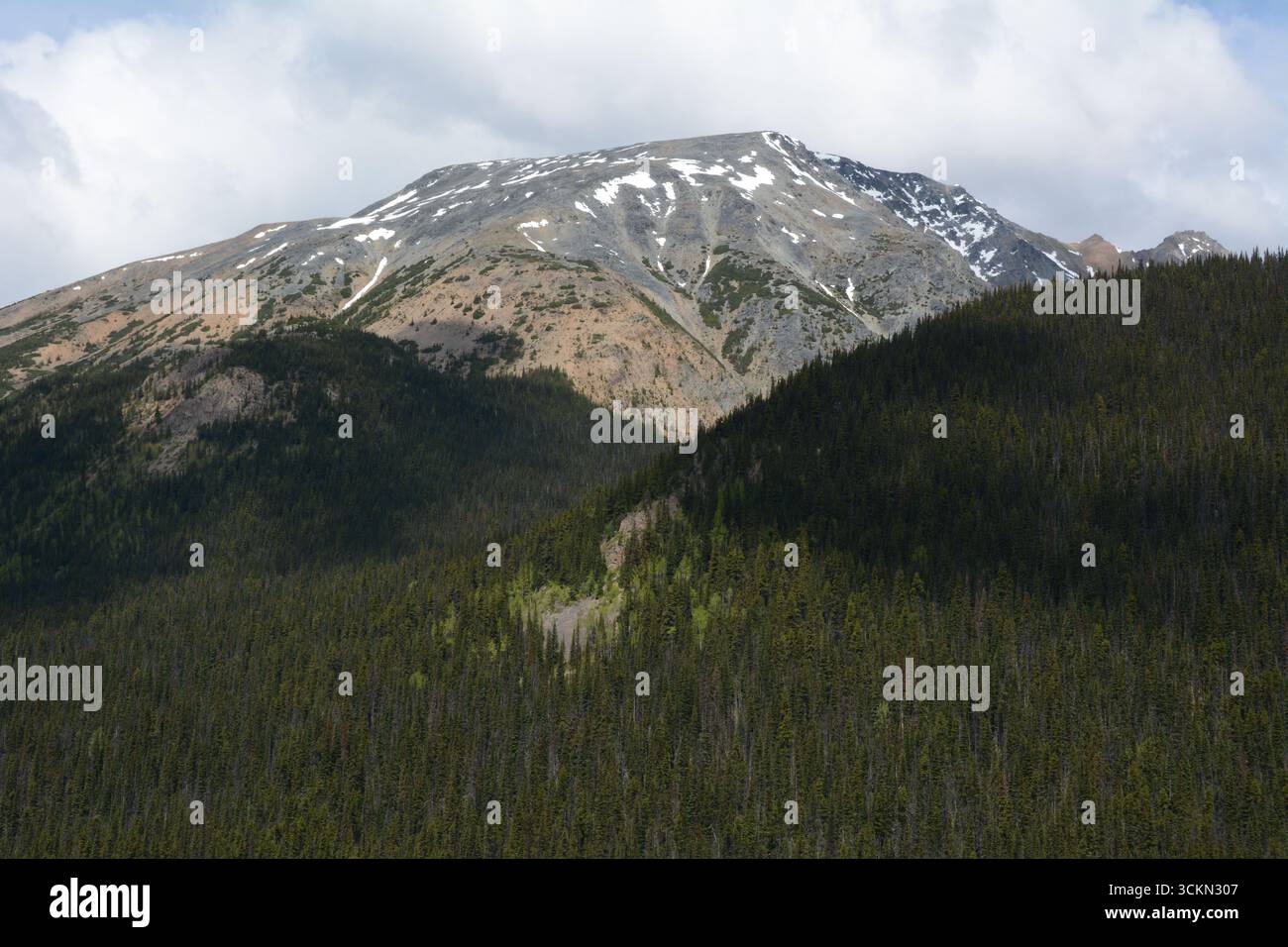Ein Berggipfel und ein unberührter Nadelwald im Babine Mountains Provincial Park bei Smithers im Norden von British Columbia, Kanada. Stockfoto