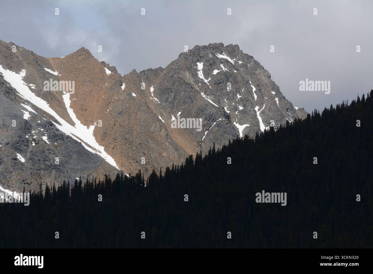 Ein Berggipfel und ein unberührter Nadelwald im Babine Mountains Provincial Park bei Smithers im Norden von British Columbia, Kanada. Stockfoto
