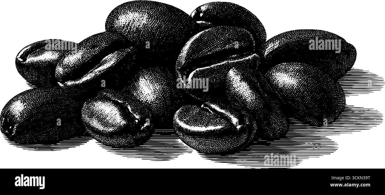 Illustration mit gravierten Kaffeebohnen in schwarzem, auffälligen Stil für Kunst- und Designprojekte. Stock Vektor
