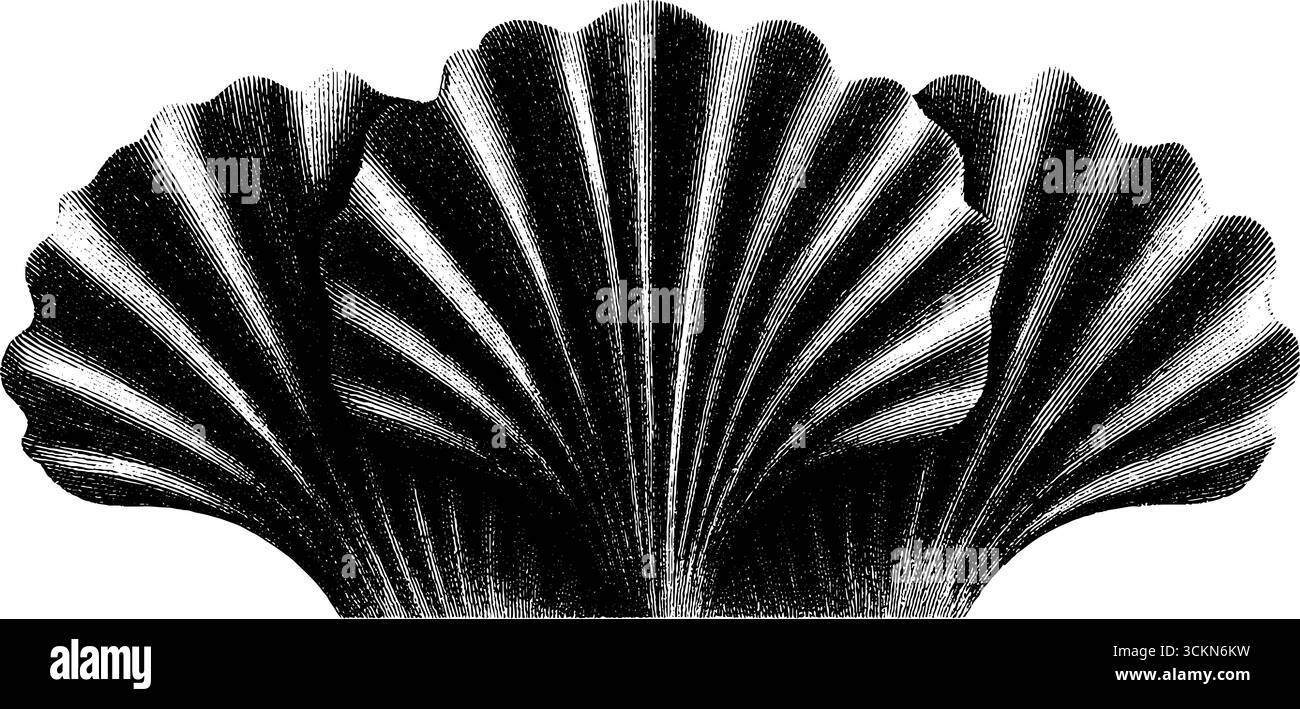 Dekorative Gravur mit abgestuften Chevrons und Fächermuster. Stock Vektor