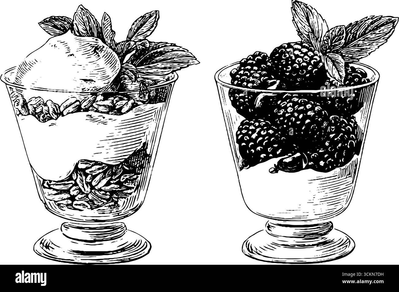 Gravierte Illustration Set aus Früchteparfait-Bechern mit köstlichen Beeren und Minzblättern. Stock Vektor
