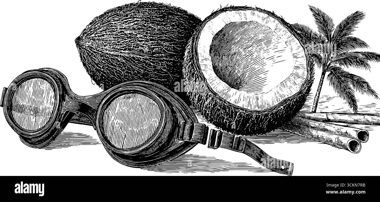 Illustration mit tropischer Gravur mit Knöpfen und Schutzbrille aus Kokosnussschalenmuscheln. Stock Vektor