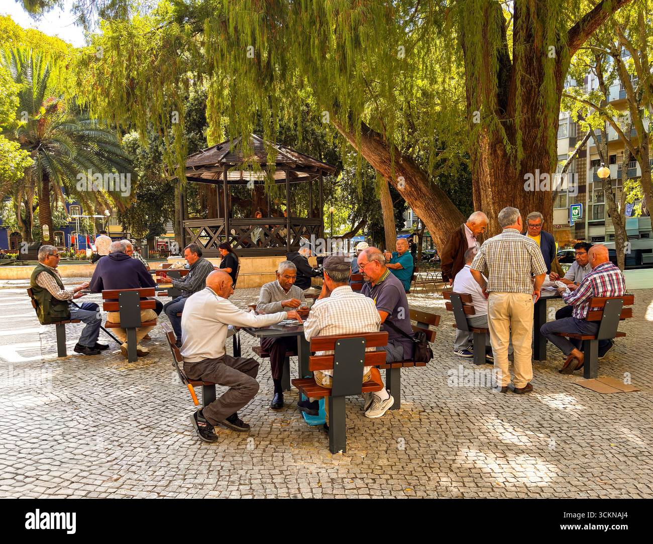 Lissabon, Portugal – Männer spielen an einem warmen Nachmittag im Jardim da Parada Karten unter Bäumen Stockfoto