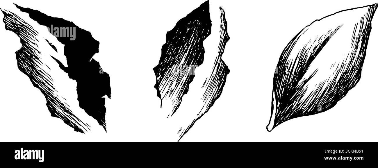 Vintage-Illustrationsset mit drei abgewellten Aufklebern oder Abziehbildern. Stock Vektor