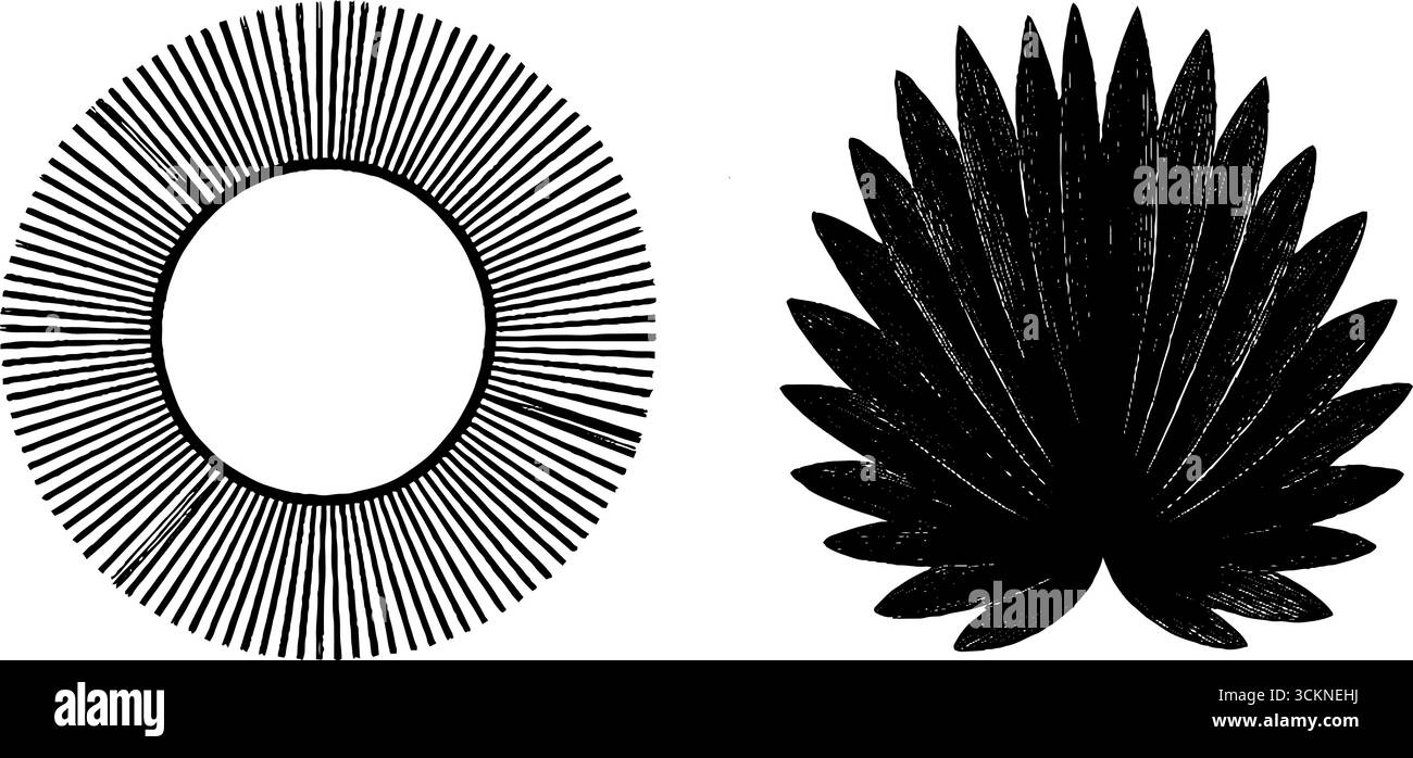 Moderne geometrische Stiche aus der Mitte des Jahrhunderts für Design- und Dekorationsprojekte. Stock Vektor