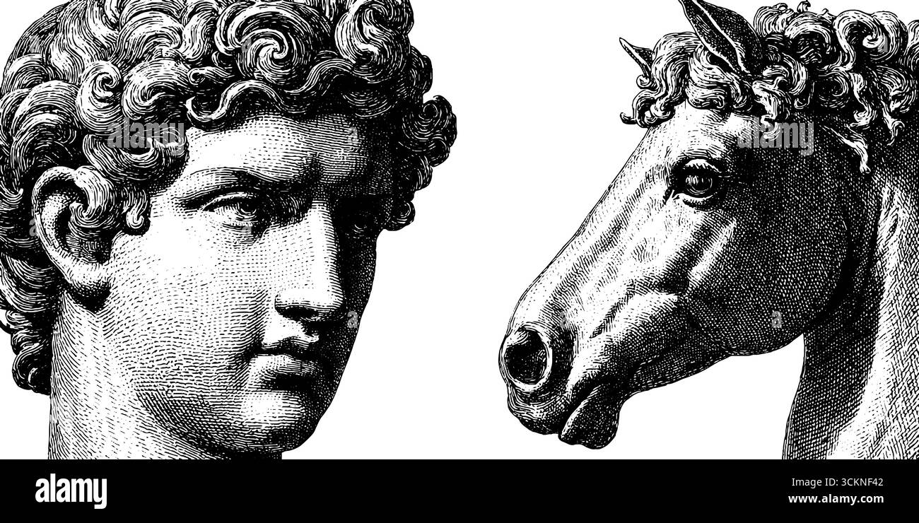 Französische provinzielle Illustrationen: Klassische Pferde- und Menschenfiguren in künstlerischer Gestaltung. Stock Vektor