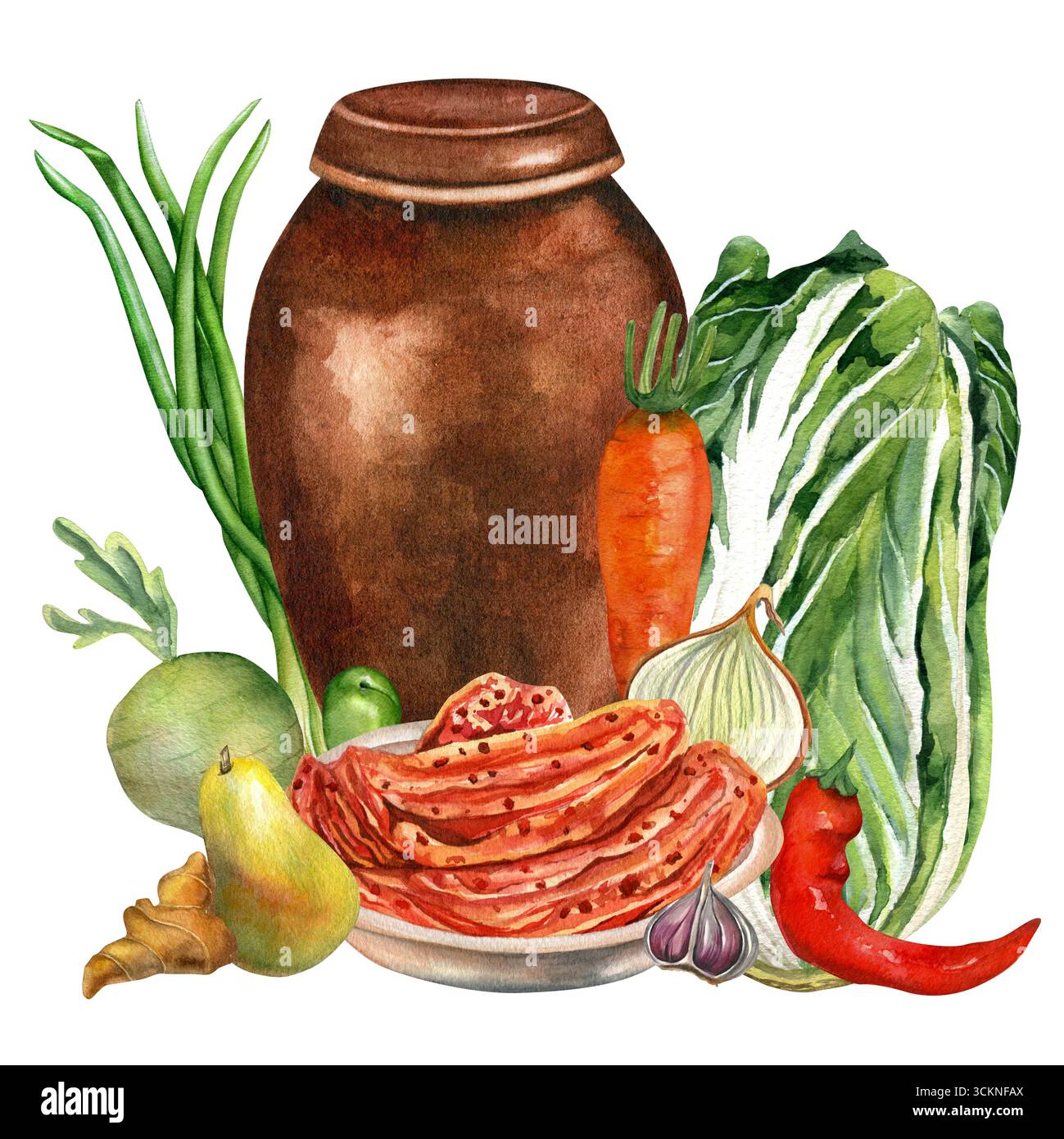 Kimchi Aquarellabbildung auf transparentem Hintergrund. Mit frischem Gemüse zum Kochen. Chinakohl, Karotte, Pfeffer, Birne, grüne Zwiebeln Stockfoto