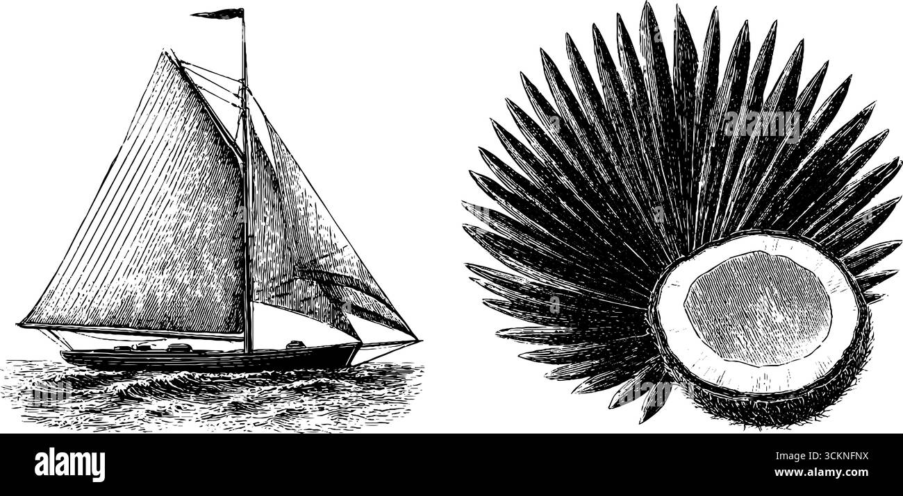 Vintage-gravierte Illustration von Segelboot und Kokosnussschale für nautisches und tropisches Design. Stock Vektor