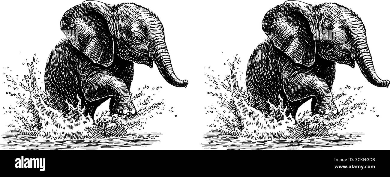 Verspielter Elefantenbabys im Wasser - Gravur-Kunstkonzept. Stock Vektor