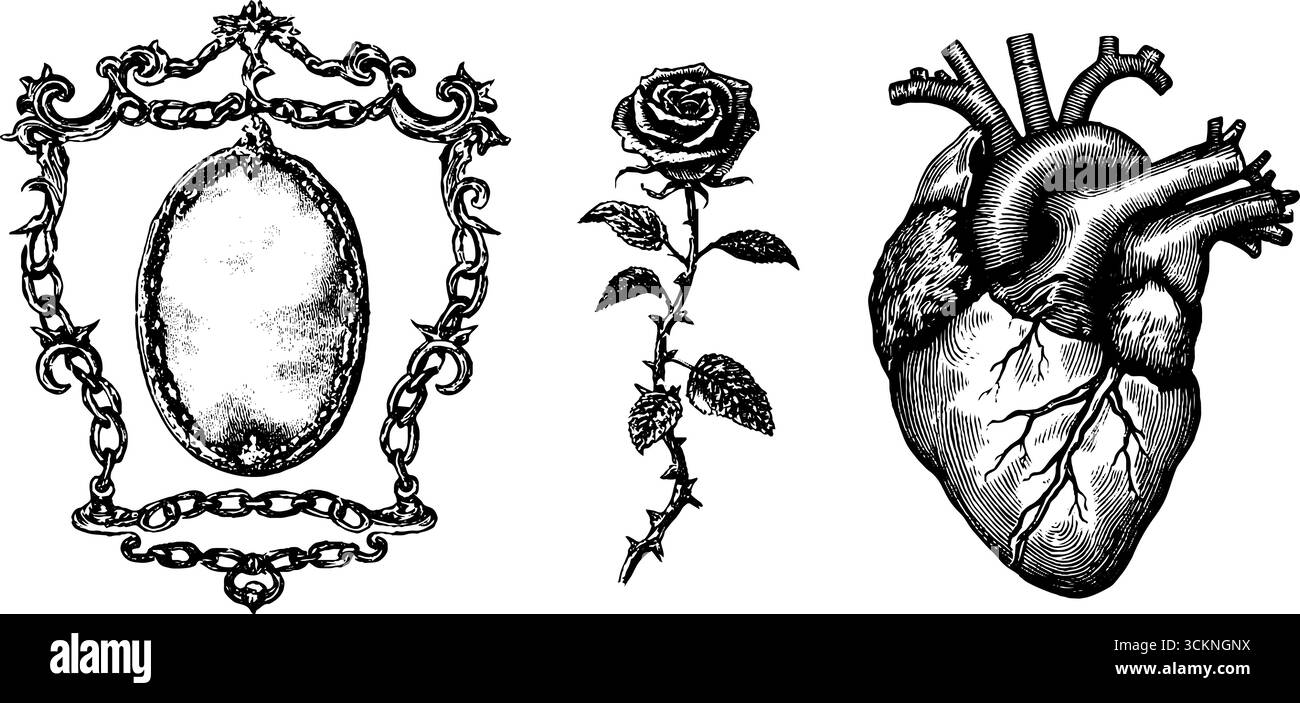 Gravierte Illustrationen von beschlagenem Glas, Rose und menschlichem Herzen für künstlerisches Design. Stock Vektor