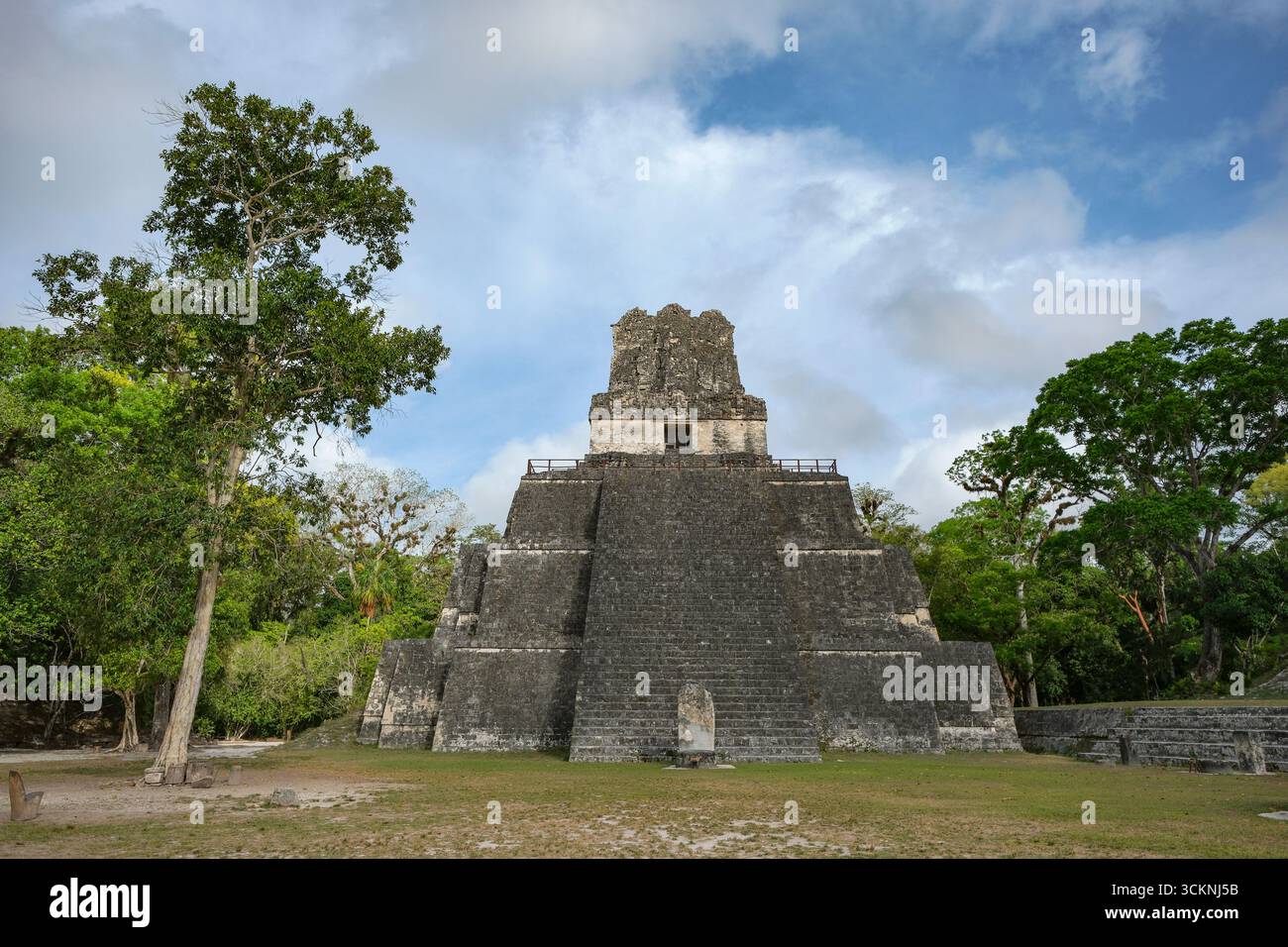 Flores, Guatemala - 12. Juni 2025: Tempel der Masken in Tikal, Ruinen einer alten Maya-Stadt in Flores, Département Peten, Guatemala. Stockfoto
