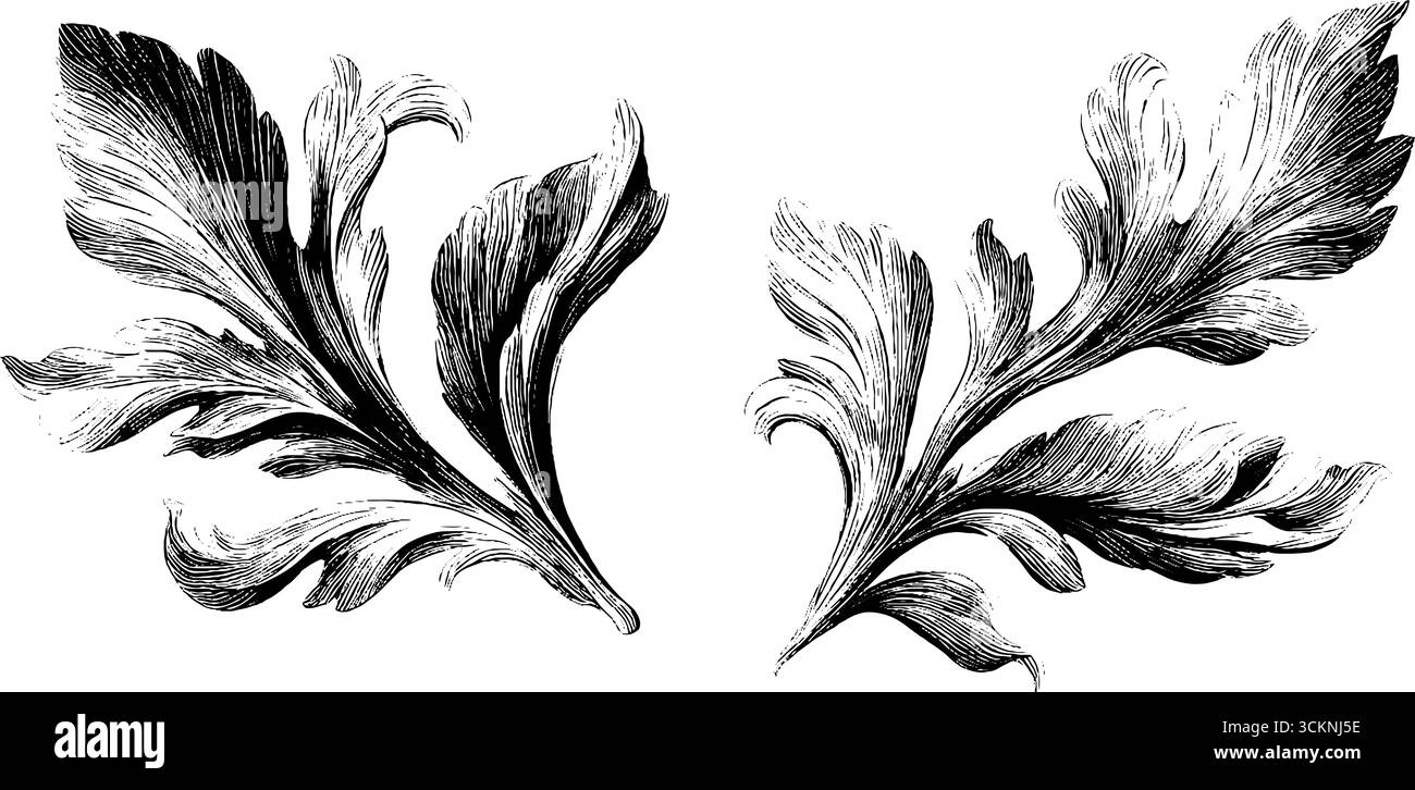 Set mit naturalistischer Blumengravur für Design und Dekoration. Stock Vektor