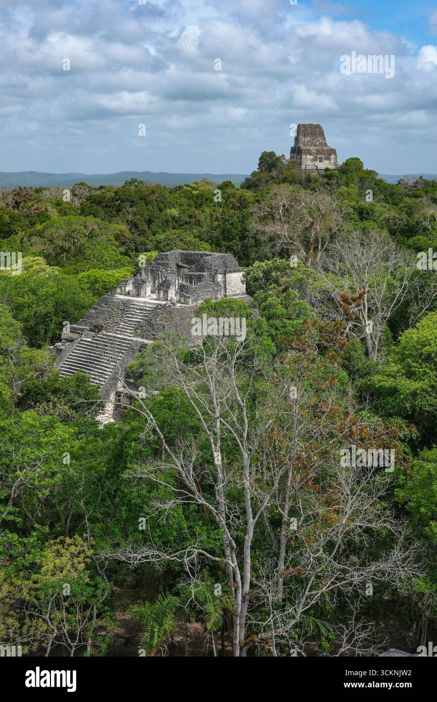 Flores, Guatemala - 12. Juni 2025: Tikal ist die Ruine einer alten Maya-Stadt in Flores, Département Peten, Guatemala. Stockfoto