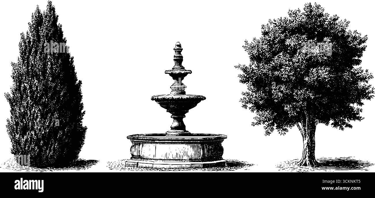 Elegante Elemente des französischen Gartens: Gravierte Bäume und Brunnenillustration für Design. Stock Vektor Elegante Elemente des französischen Gartens: Gravierte Bäume und Brunnenillustration für Design. Stock Vektor