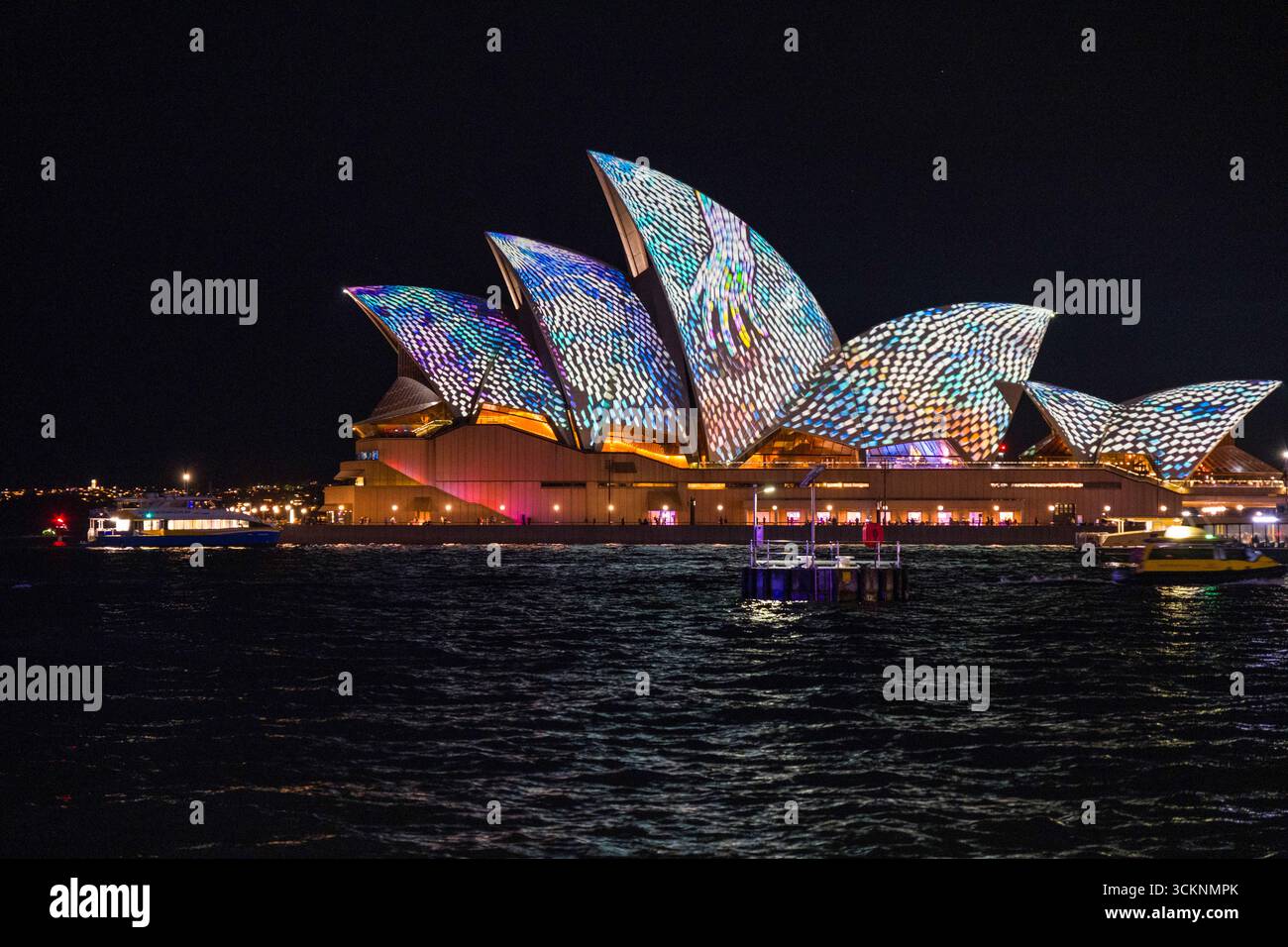 Das Sydney Opera House wird nachts während des Vivid Sydney jährlichen Festivals beleuchtet, farbenfrohe Lichtprojektionen reflektieren den Hafen und schaffen ein lebendiges Ambiente Stockfoto