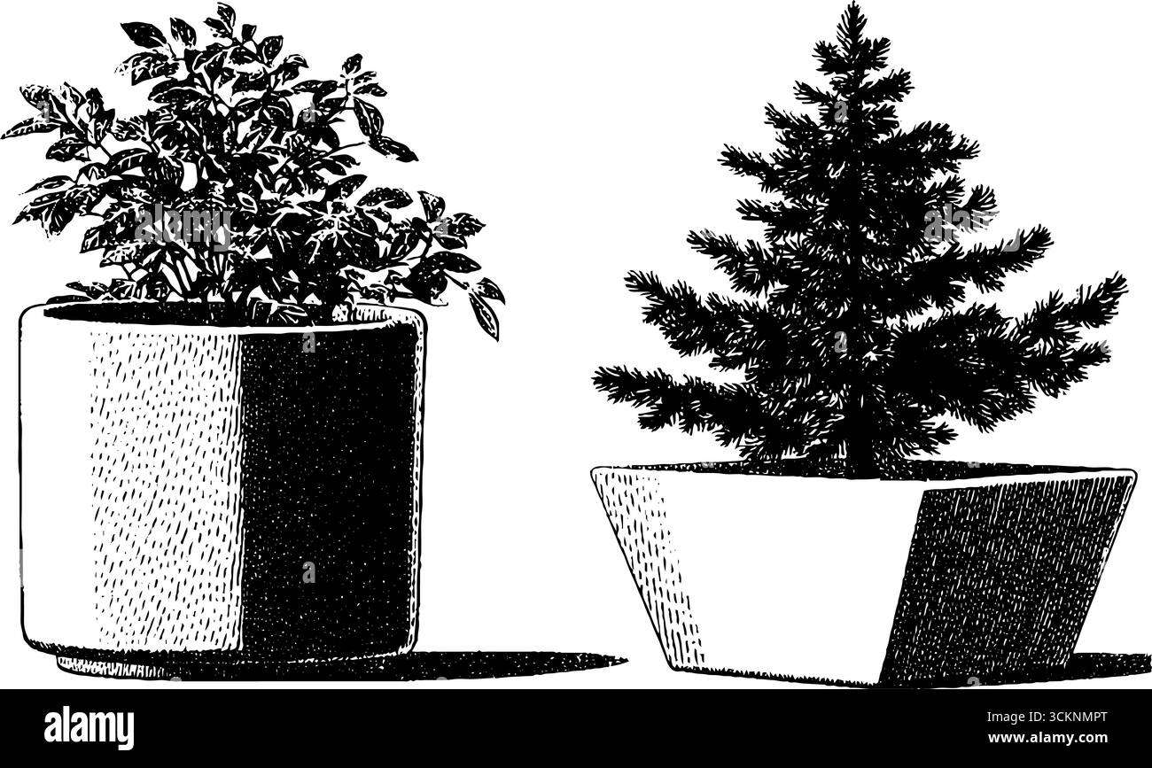 Moderne Pflanzengravuren aus der Mitte des Jahrhunderts – dekorative Topfdesigns für die Inneneinrichtung. Stock Vektor