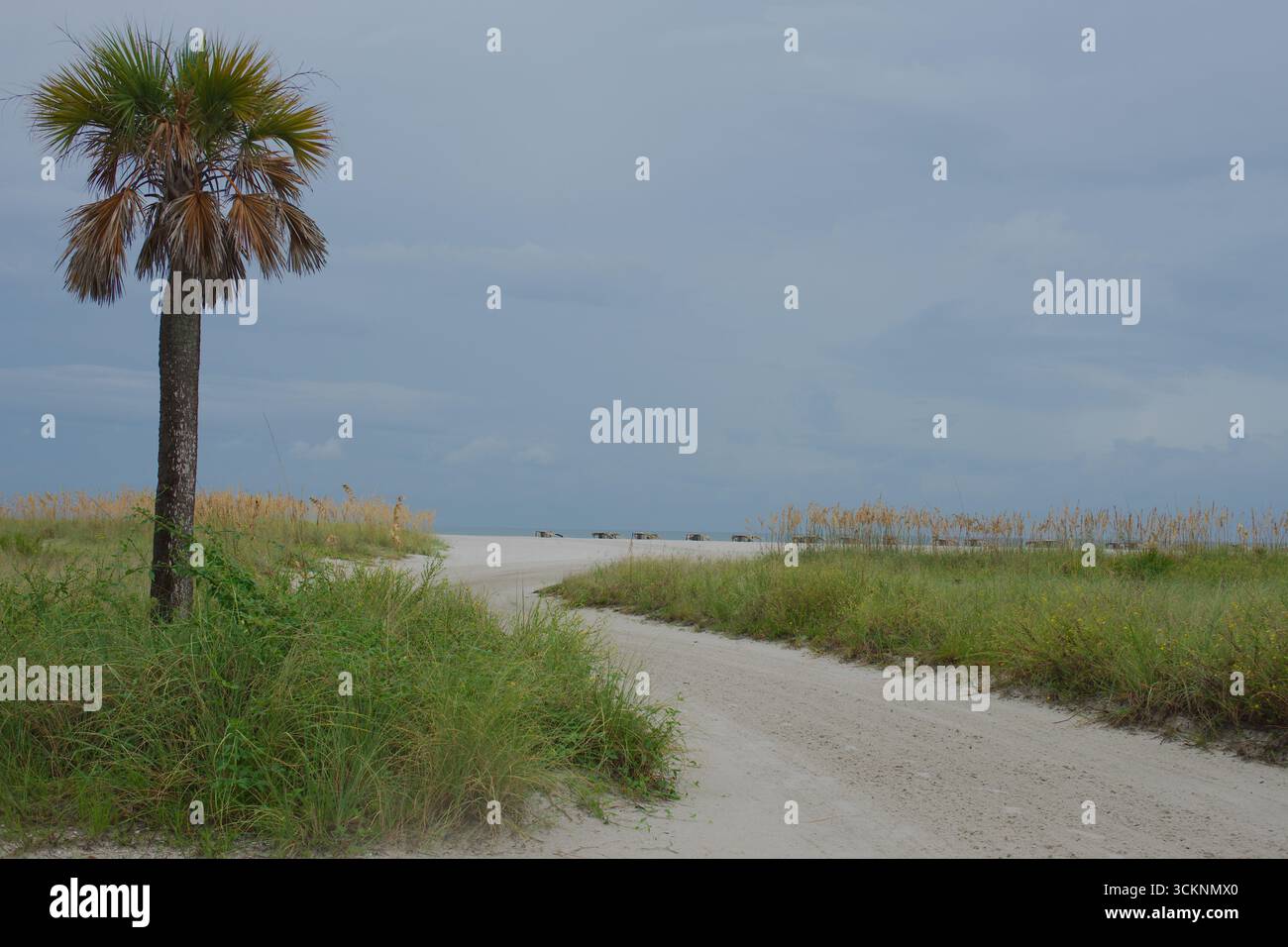 Kurviger Sandpfad durch Grasdünen unter einem bewölkten Himmel. Malerische Aussicht auf eine Sandstraße, die sich durch grüne Dünen mit bewölktem Himmel über der Straße schlängelt Stockfoto