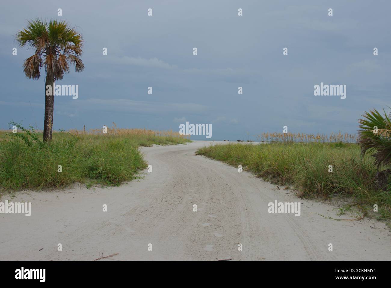 Kurviger Sandpfad durch Grasdünen unter einem bewölkten Himmel. Malerische Aussicht auf eine Sandstraße, die sich durch grüne Dünen mit bewölktem Himmel über der Straße schlängelt Stockfoto