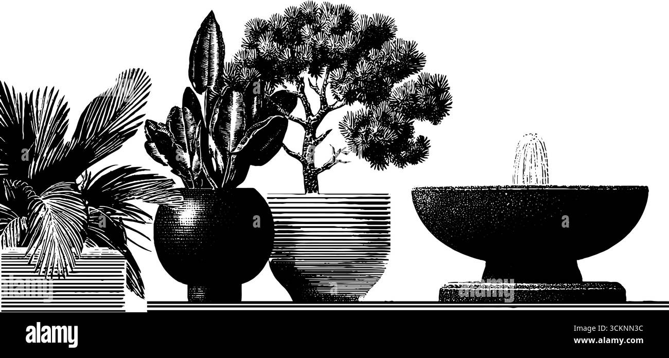 Moderne Pflanzen- und Brunnengravur aus der Mitte des Jahrhunderts für dekoratives Design. Stock Vektor