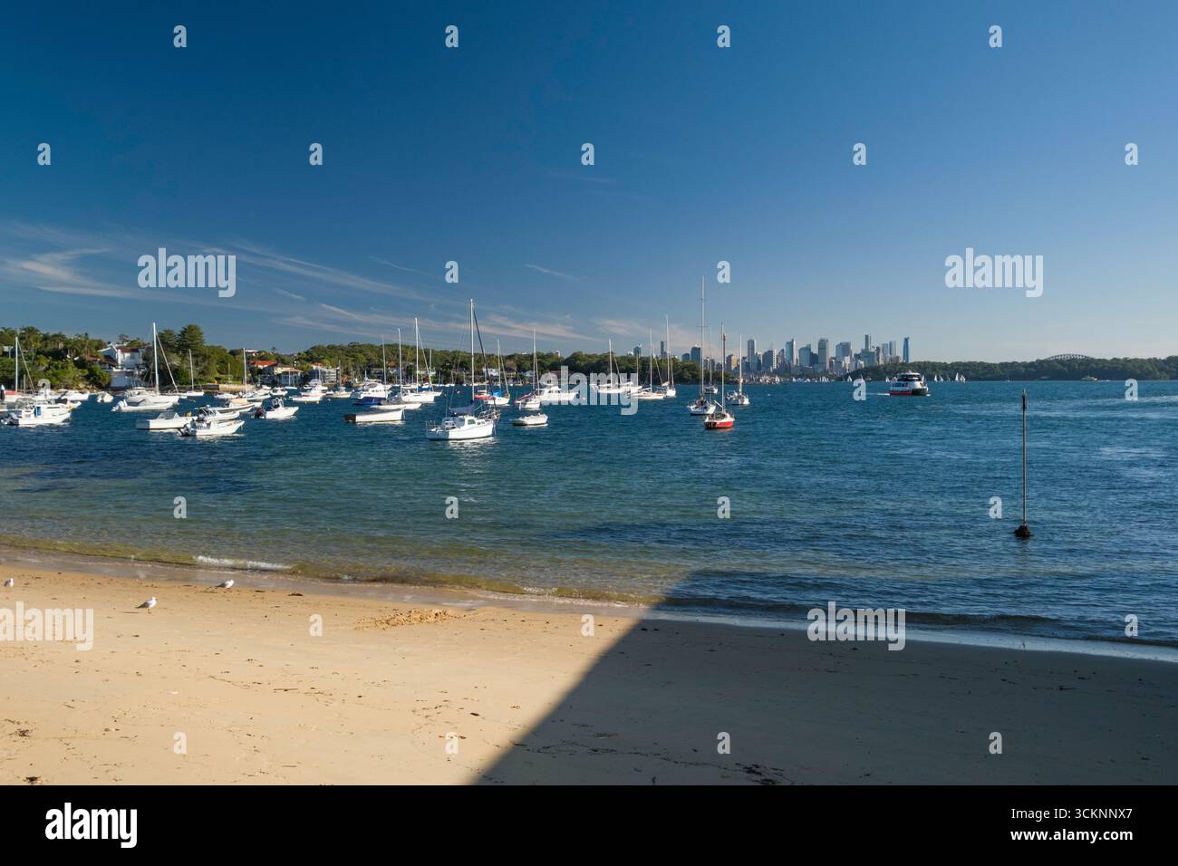 Schöner Hafen mit angedockten Segelbooten, ruhigem Wasser, sonnigen Bedingungen und einer Skyline der Stadt in der Ferne. Ideal zur Illustration von Gelassenheit, ur Stockfoto