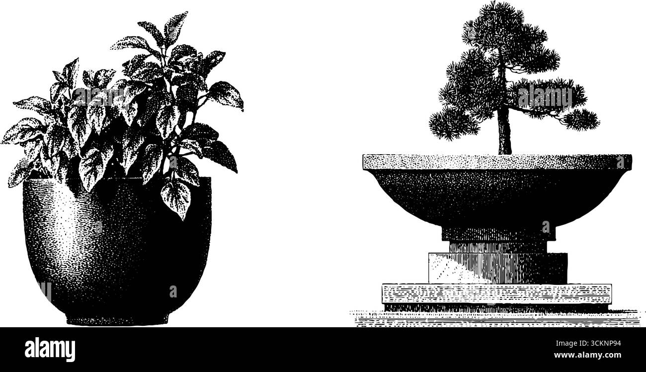 Moderne botanische Stiche von Topfpflanzen aus der Mitte des Jahrhunderts für Retro-Einrichtung und -Design. Stock Vektor