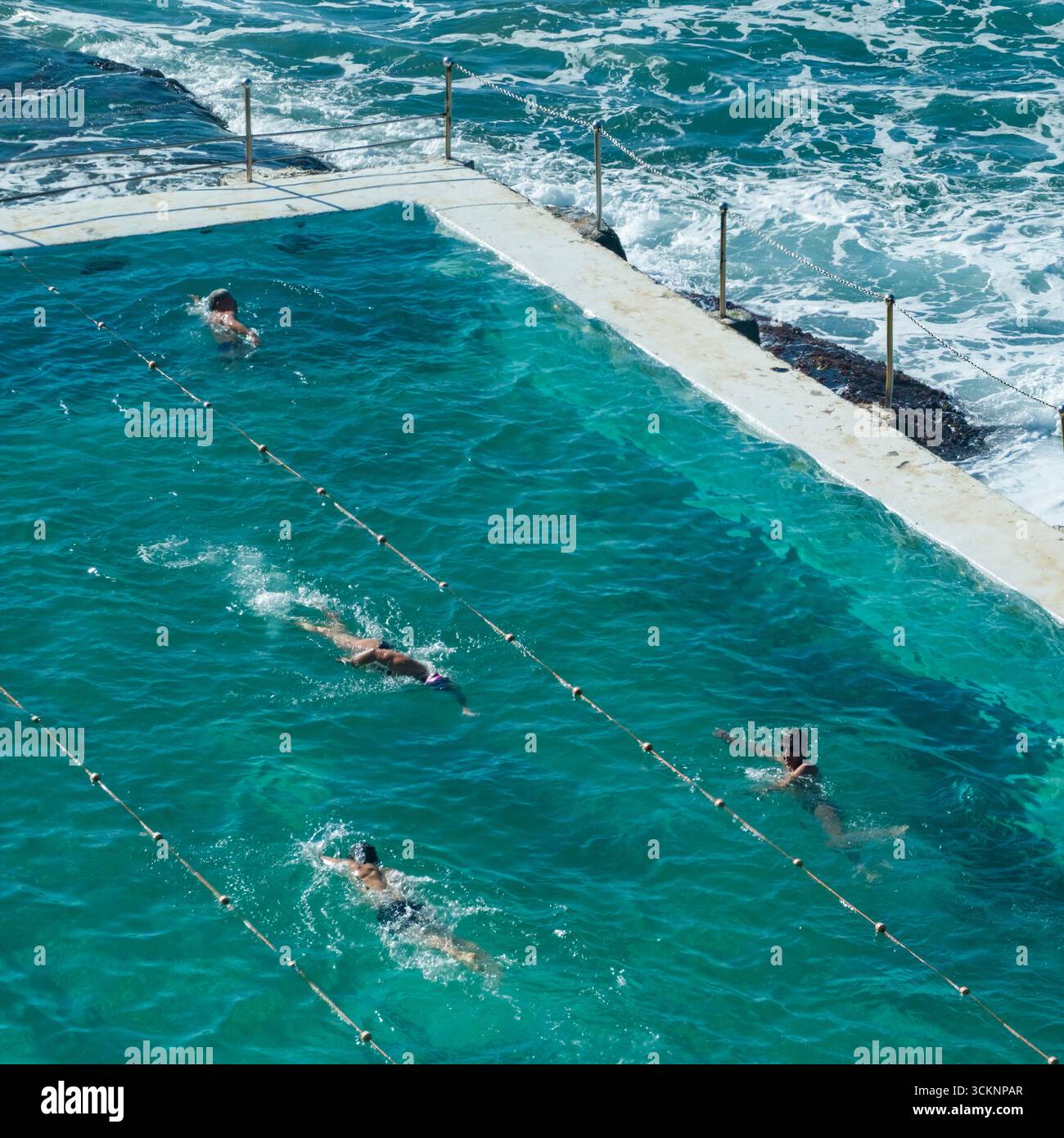 Schwimmer genießen einen sonnigen Tag in einem lebhaften Außenpool neben den Meereswellen. Die fröhliche Atmosphäre fängt Fitness, Freizeit und die Schönheit der se ein Stockfoto