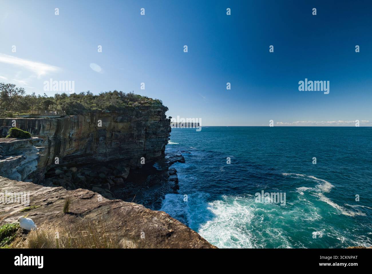 Ein atemberaubender Blick auf eine zerklüftete Küste mit Klippen und üppigem Grün vor einem lebendigen blauen Himmel und ruhigen Meeresgewässern, Sydney Harbour National Pa Stockfoto