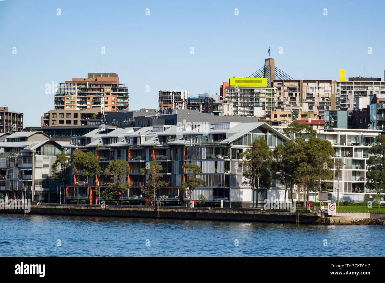 Urbane Hafenlandschaft mit modernen Apartmentgebäuden mit Bäumen und einer Skyline der Stadt, Pyrmont, Sydney Stockfoto