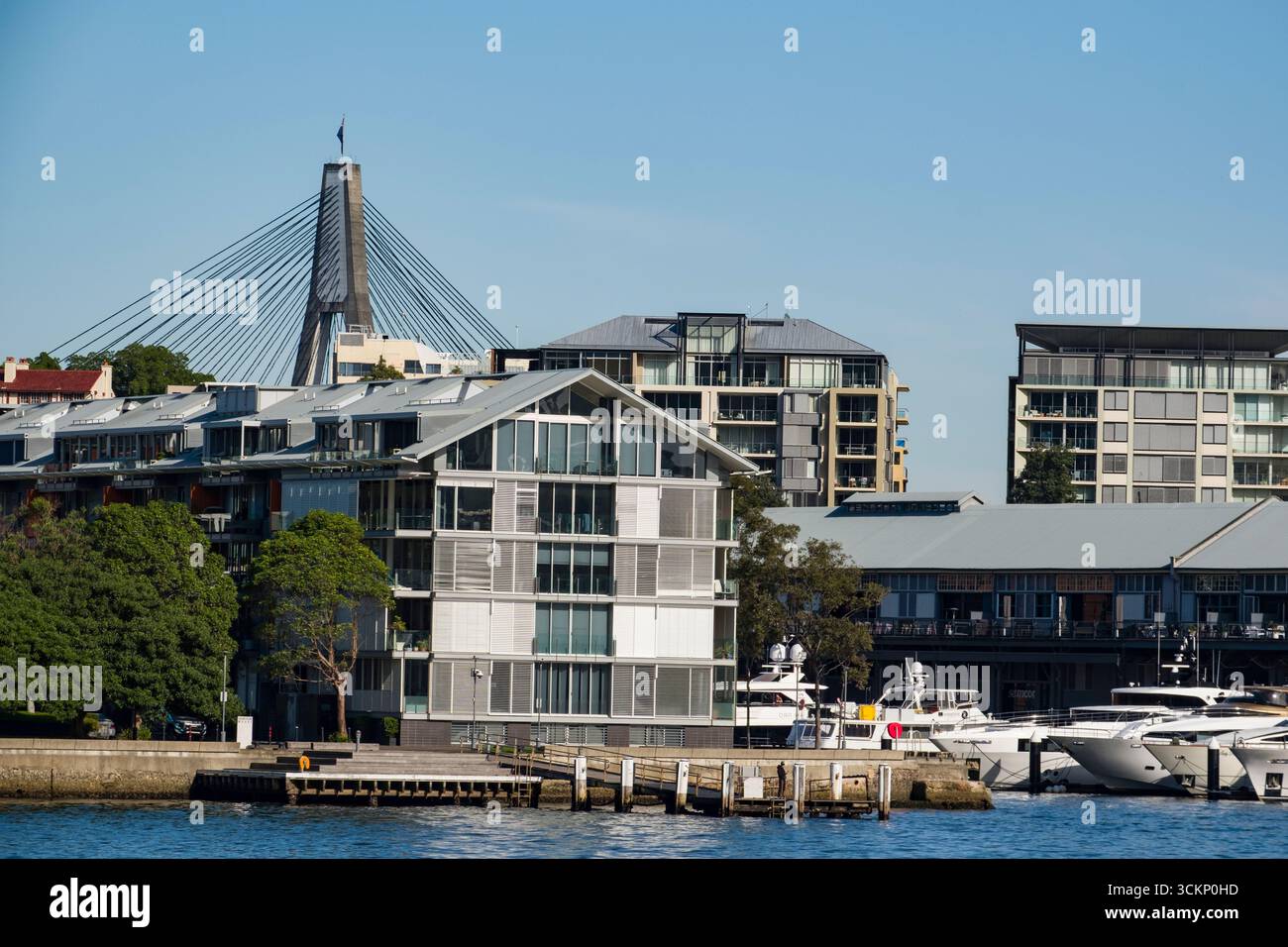 Malerischer Blick auf die modernen Apartments am Hafen mit Blick auf einen stilvollen Yachthafen und die markante Brücke, Pyrmont, Sydney Stockfoto