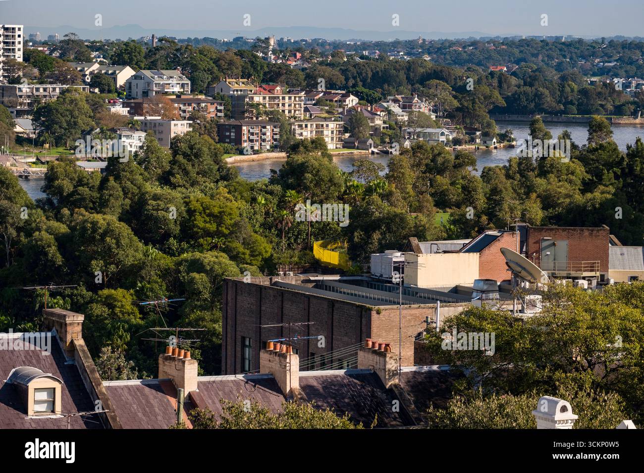 Landschaftlich reizvolles Viertel mit einem lebhaften Hafenviertel, Häusern zwischen Bäumen und urbanen Strukturen, die sich mit der Natur verschmelzen, Sydney Stockfoto