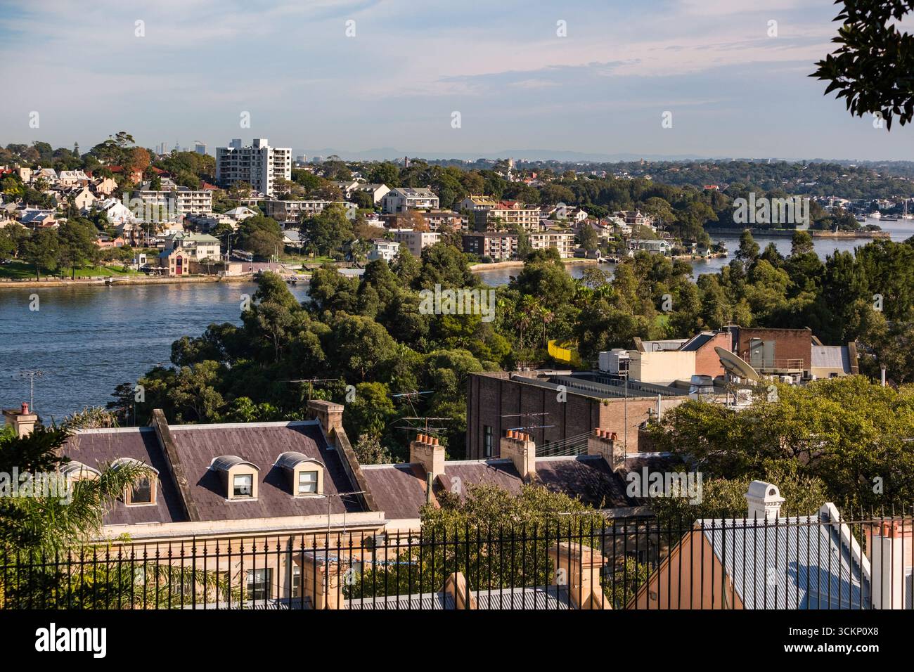 Malerische Aussicht auf eine Wohngegend von Sydney mit einer Mischung aus historischen und modernen Gebäuden, eingebettet in üppiges Grün, Sydney Stockfoto