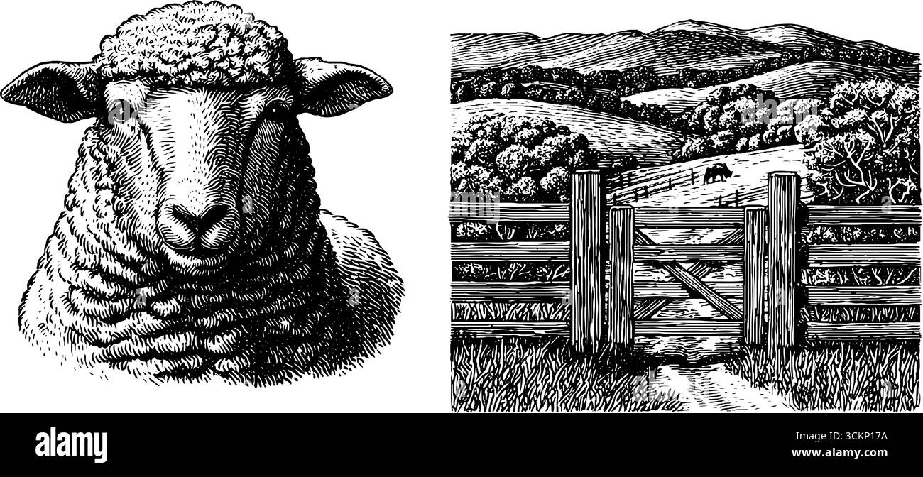 Gravierte Illustration von Schäferhundeschäherungen und Pastoralszenen für ländliche Gestaltungsprojekte. Stock Vektor