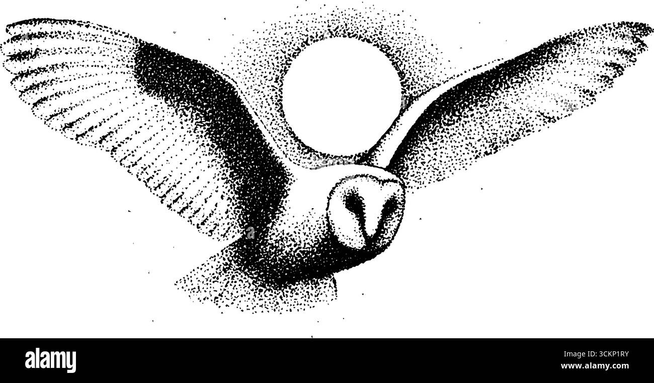 Hyper-detaillierte Tusche Illustration von Eulen im Flug. Stock Vektor