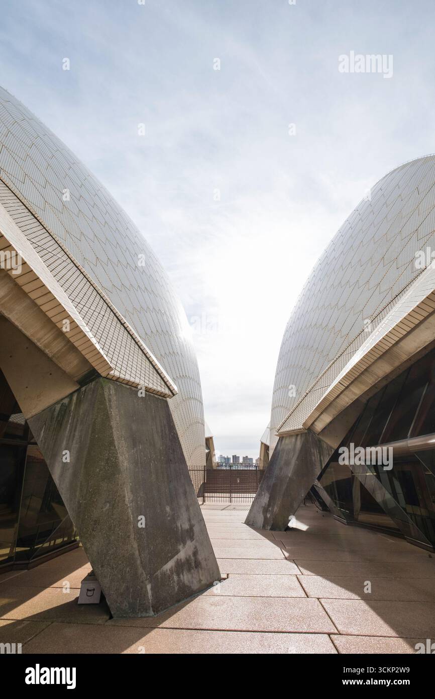 Das Sydney Opera House, ein Wahrzeichen in Sydney, Australien, wird aus einem niedrigen Winkel gezeigt. Das unverwechselbare segelartige Dach ist hervorzuheben, Stockfoto