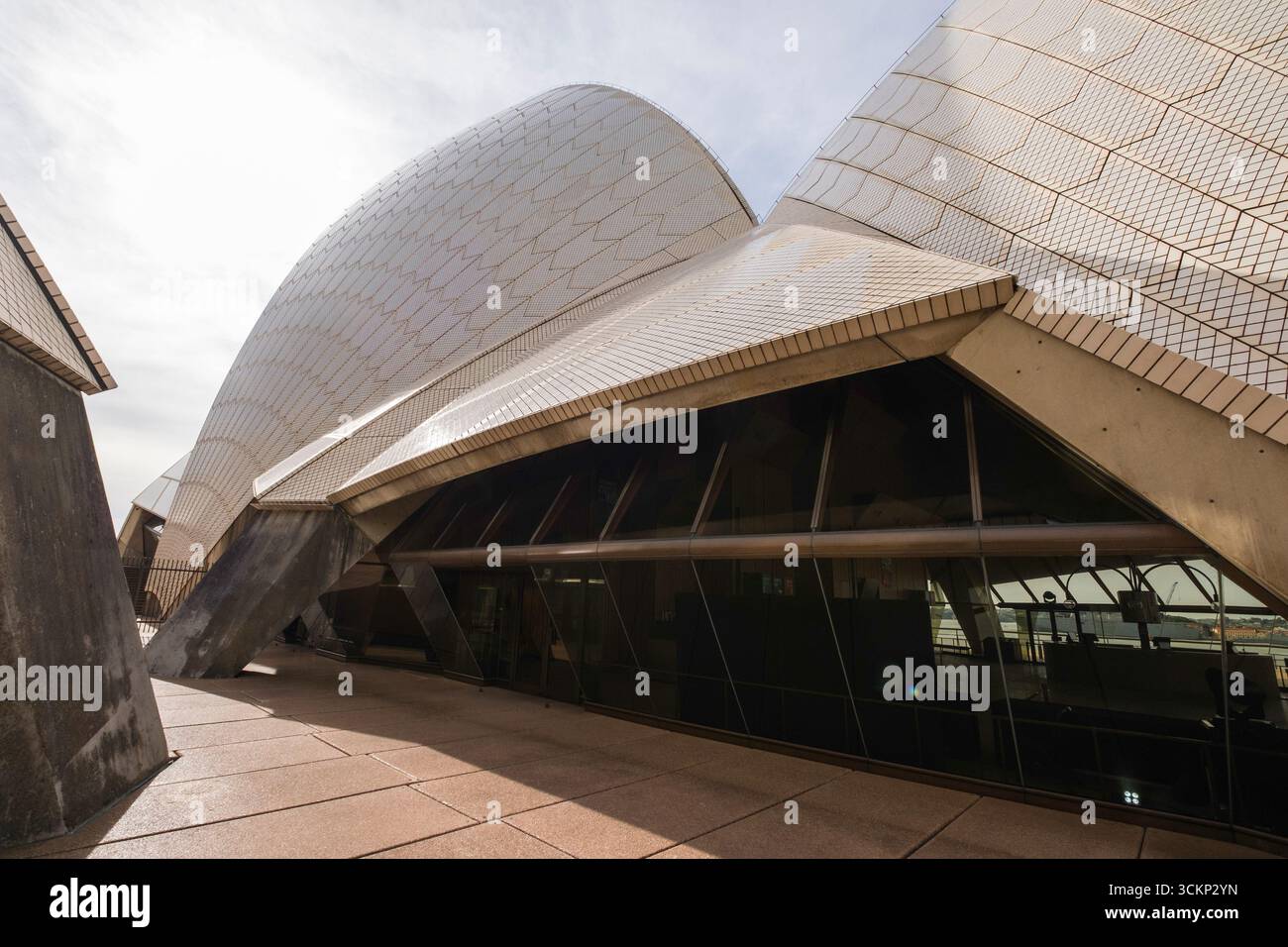 Das Sydney Opera House, ein Wahrzeichen in Sydney, Australien, wird aus einem niedrigen Winkel gezeigt. Das unverwechselbare segelartige Dach ist hervorzuheben, Stockfoto