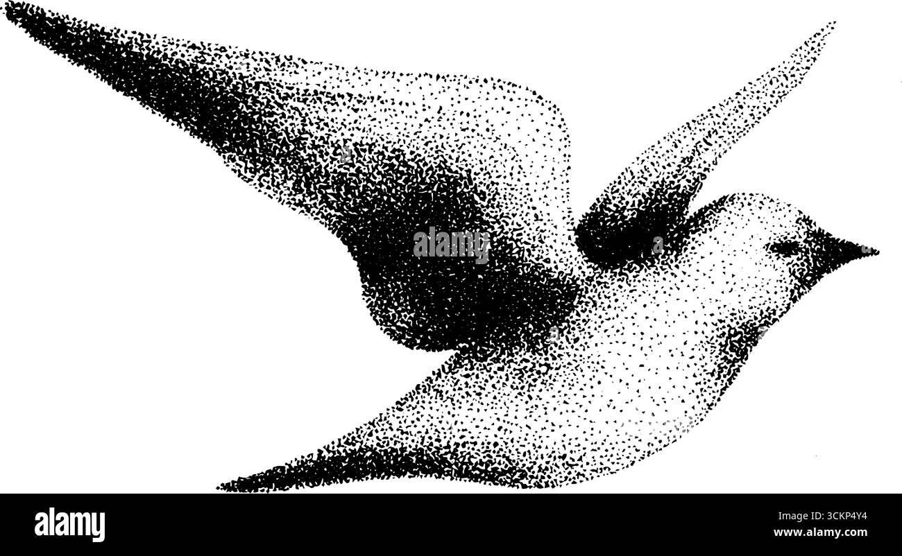 Künstlerische Vogelabbildung in der Tuschentechnik mit Halbtondetails. Stock Vektor