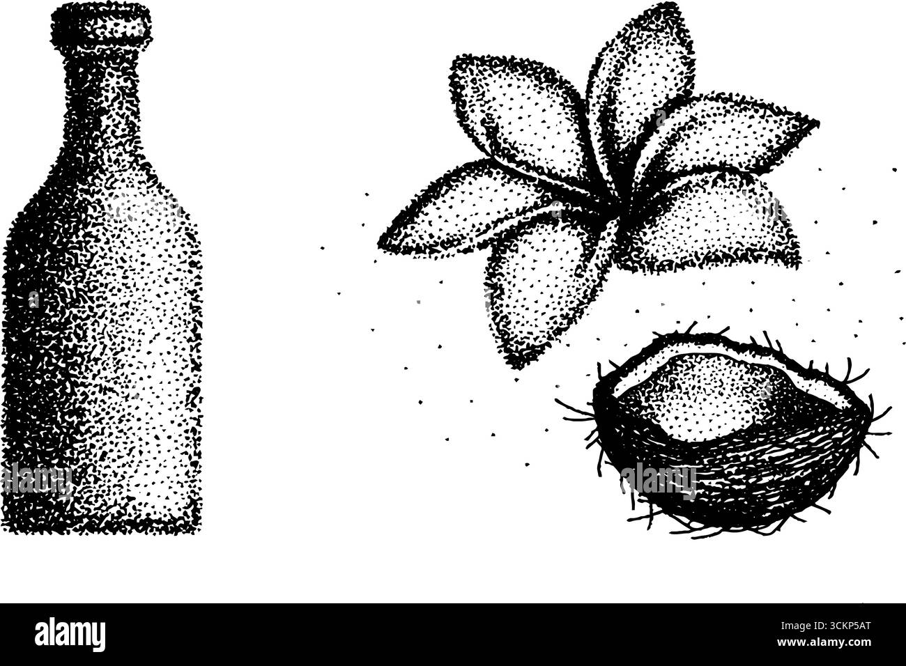 Detaillierte Illustration von Flaschenblume und Kokosnussschale. Stock Vektor