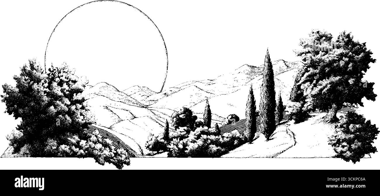 Malerische Weinberglandschaft bei Sonnenuntergang mit sanften Hügeln und Bäumen. Stock Vektor