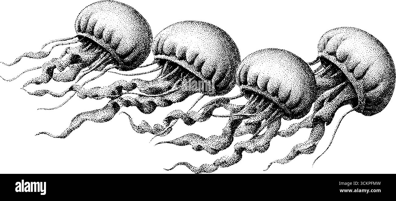 Komplizierte Quallen mit nachlaufenden Tentakeln und Blasenakzenten für marineblaues Design. Stock Vektor