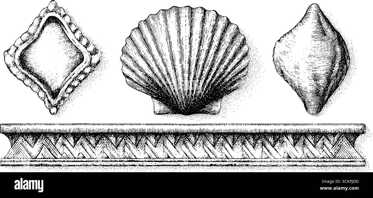 Dekorative Fächerschale und Zickzack-Rand für dekoratives Kunsthandwerk und Muster. Stock Vektor