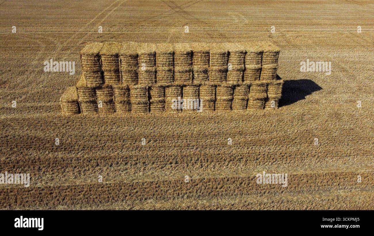 Luftaufnahme gestapelter Heuballen auf geerntetem Ackerland Stockfoto