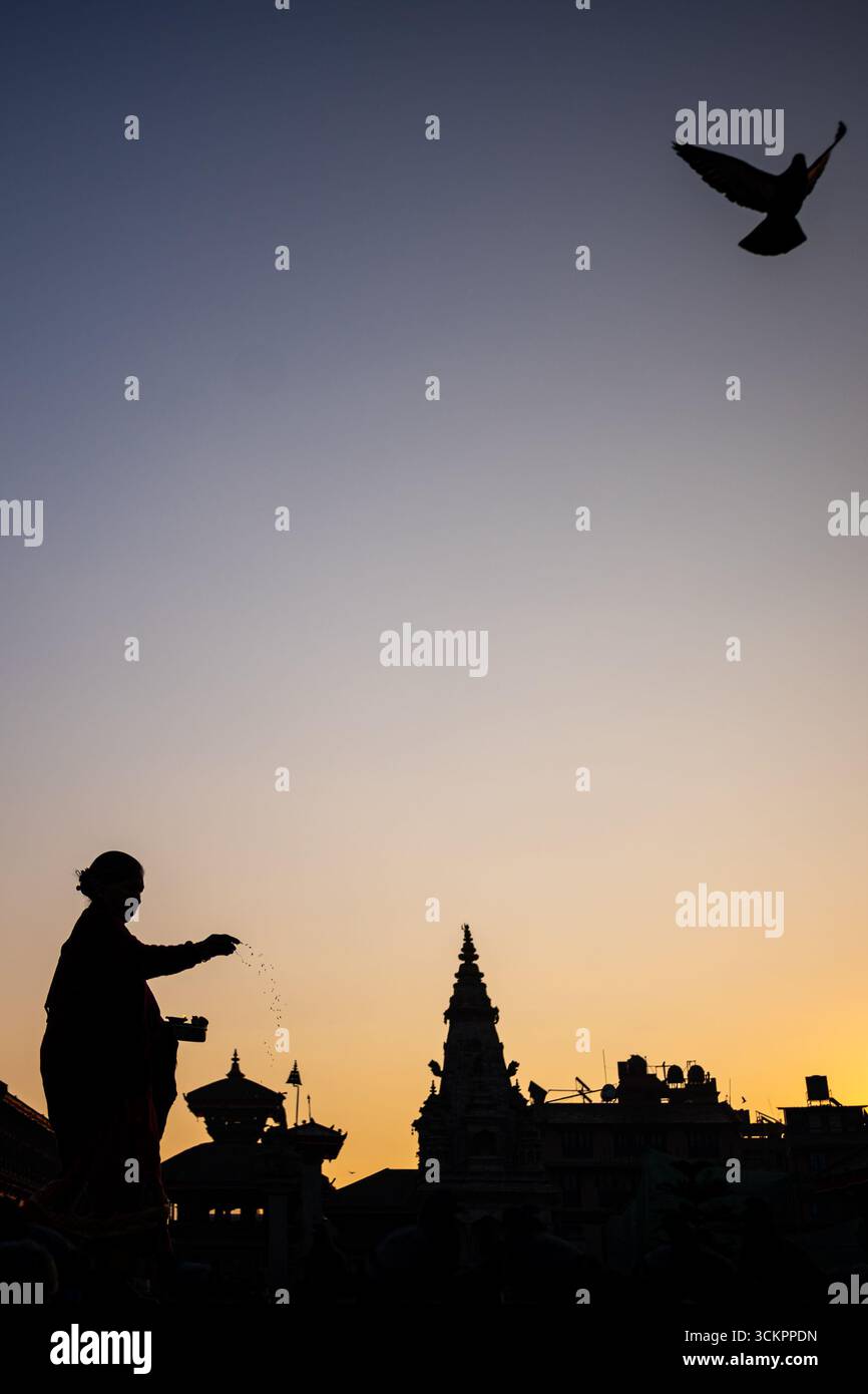 Eine Frau bietet Tauben am Bhaktapur Durbar Square bei Sonnenaufgang in Nepal Körner an, während das erste Licht des Sonnenaufgangs den historischen Platz in goldenen Tönen taucht. Foto: Safal Prakash Shrestha. Stockfoto