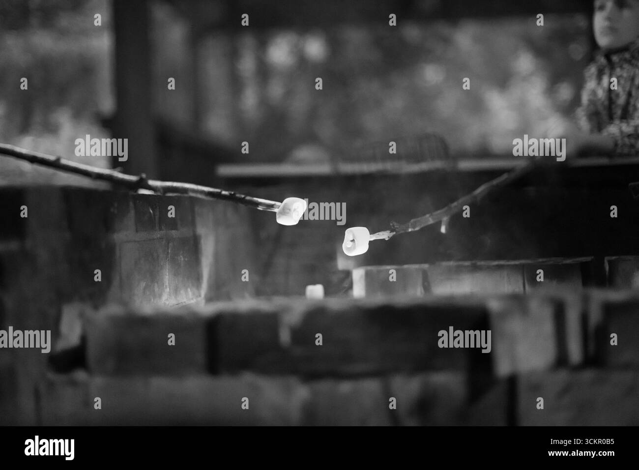 Klebt mit Marshmallows über einem Feuer Stockfoto