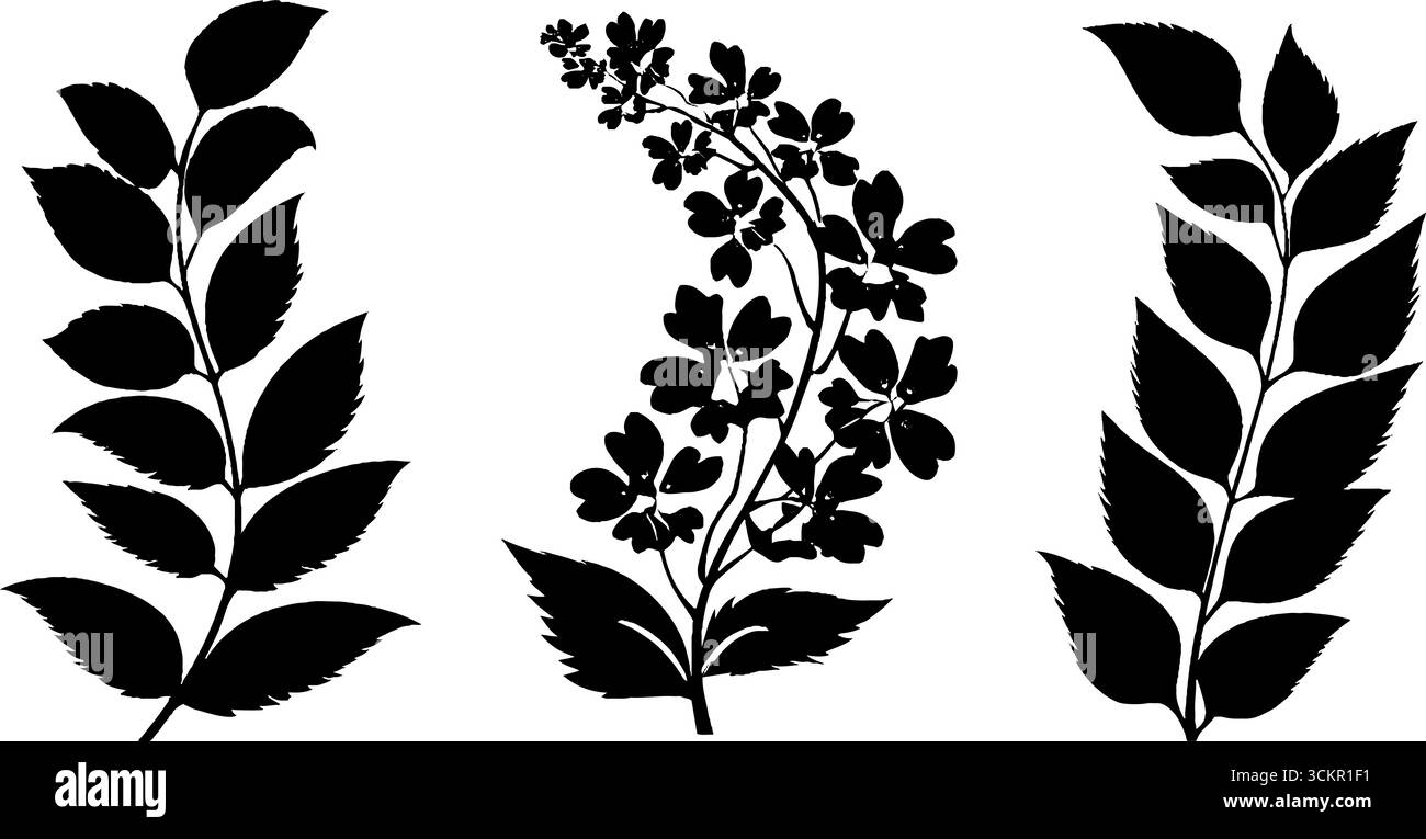 Elegante botanische Silhouetten und dekorative Spiralweben für Design. Stock Vektor